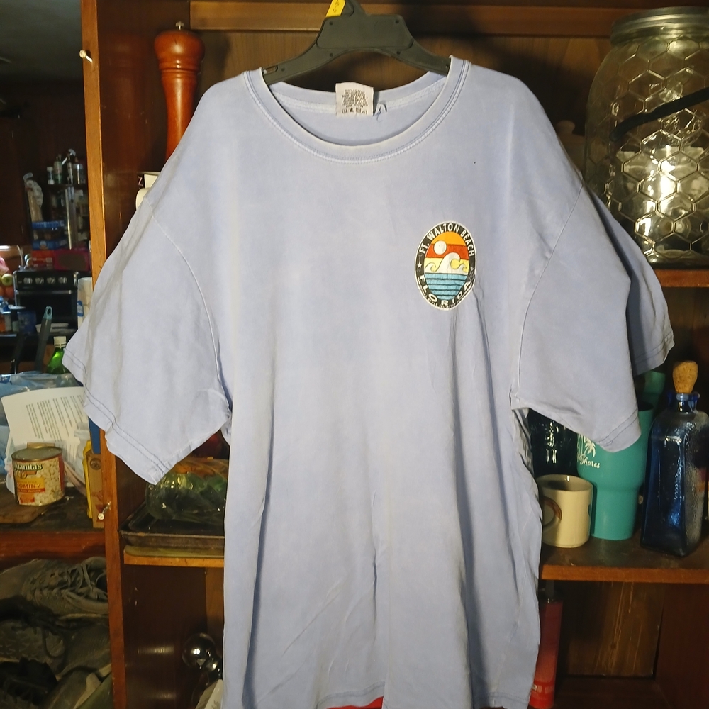 Men's Light Blue Graphic Tee